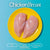 Photograph of two pale pink raw chicken breasts on a bright yellow plate against a vibrant turquoise background, with prominent white 'Chicken Breast' text at the top and descriptive labels 'Halal Natural Pasture Raised' below