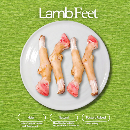 Four raw pale pinkish-white lamb feet with reddish tips displayed on a white round plate against a bright green textured background, highlighting Halal Natural and Pasture Raised qualities