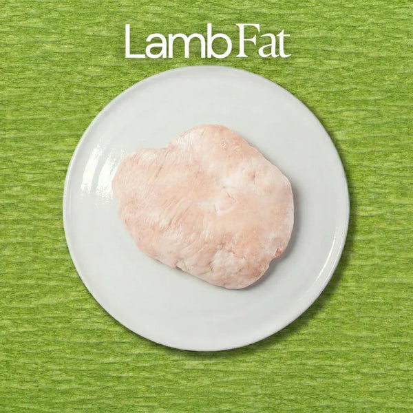 Raw lamb fat on a white plate with 'Lamb Fat' text on a green background