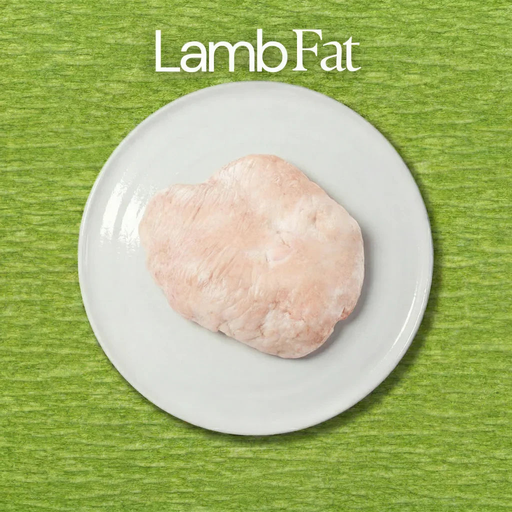 Lambfat_c6b8b2dd-d531-4930-9c52-af2f8f078348 - Prime Halal Meat